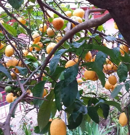 Marika Garden Apartamento Moraitika